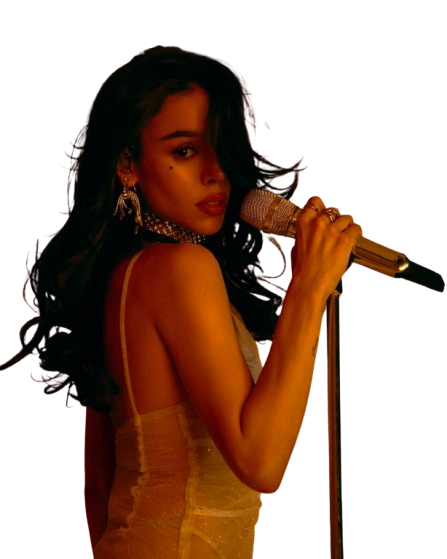 Musician Performer